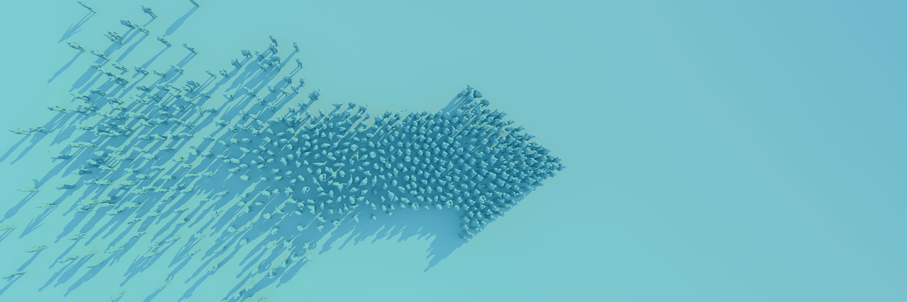 INI Vision & Mission