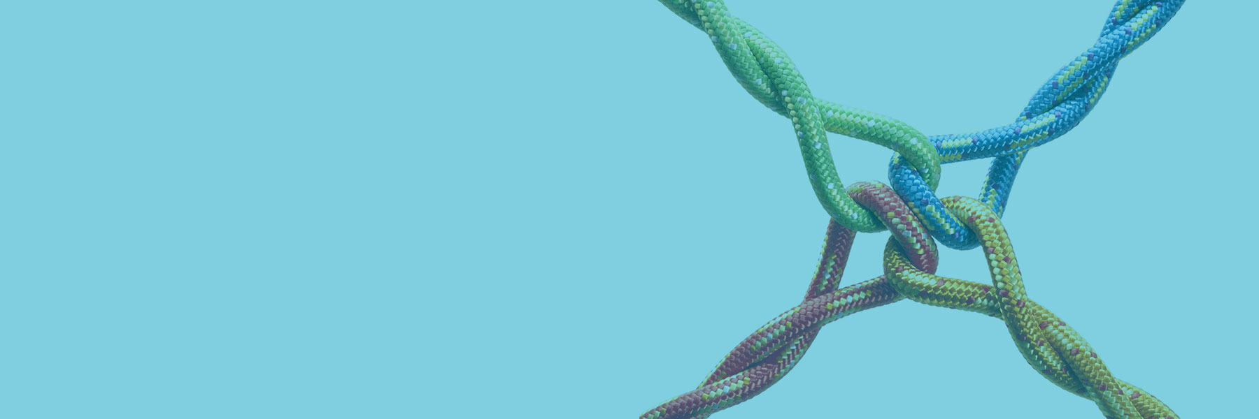 Supporting INI Projects